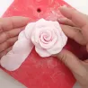 Easiest Rose Ausstecher