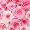 Easiest Rose Ausstecher