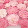 Easiest carnation cutters for elegant decorations