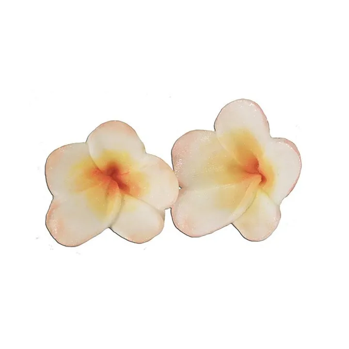 Frangipani embossing set