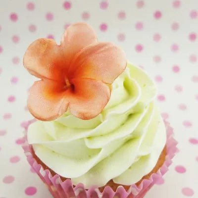 Frangipani embossing set