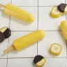 Ice cream mold Ipanema for perfect popsicles