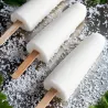 Ice cream mold Ipanema for perfect popsicles