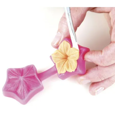Petunia flowers multi-embossing set