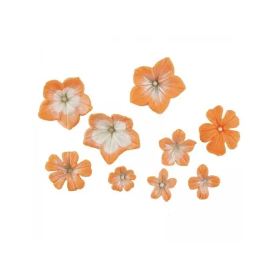 Petunia flowers multi-embossing set