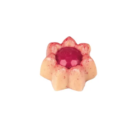 Stampo per cioccolato Piccoli fiori 24 cioccolatini