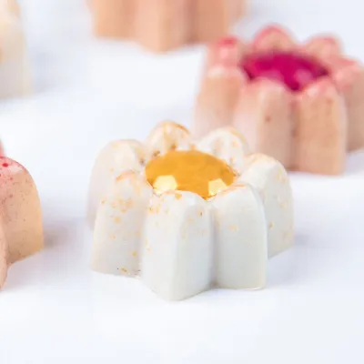 Stampo per cioccolato Piccoli fiori 24 cioccolatini