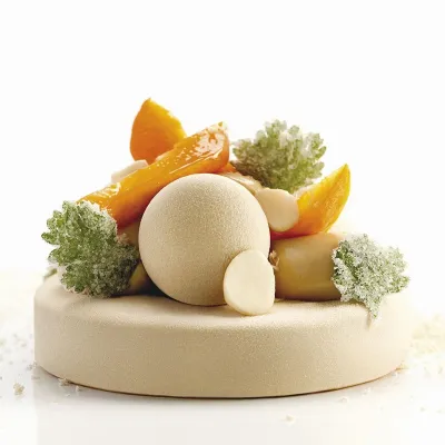 Profi Lollypop Silikonform, 8 Stück