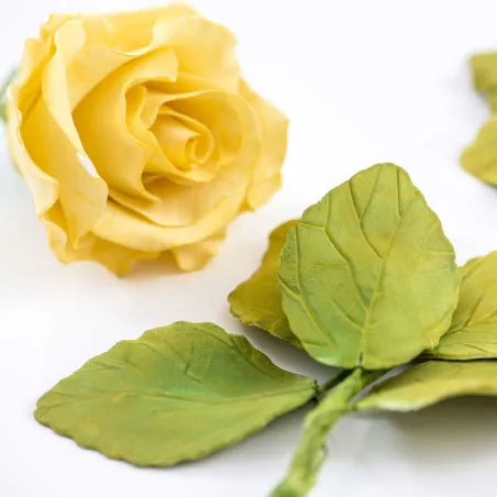 Rose cutter set for elegant rose decorations