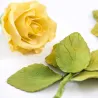 Set d'emporte-pièces roses pour des décorations de roses raffinées