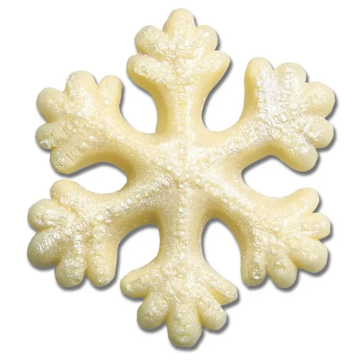Gaufrage silicone flocon de neige