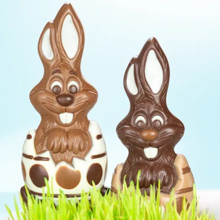 Chocolate mold bunny in an egg for sweet chocolate figures
