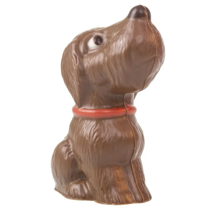 Stampo per cioccolato cane per proprie figure di cioccolato