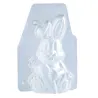 Chocolate mold bunny carrot