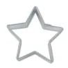 Ausstecher Stern Gross