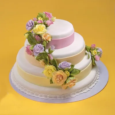 Cake plate round silver Ø 22.8 cm for safe transportation