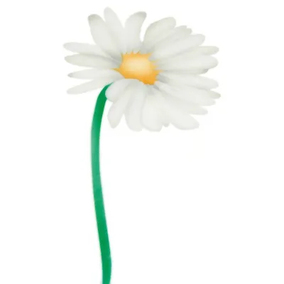 Airbrush Schablone Margeriten