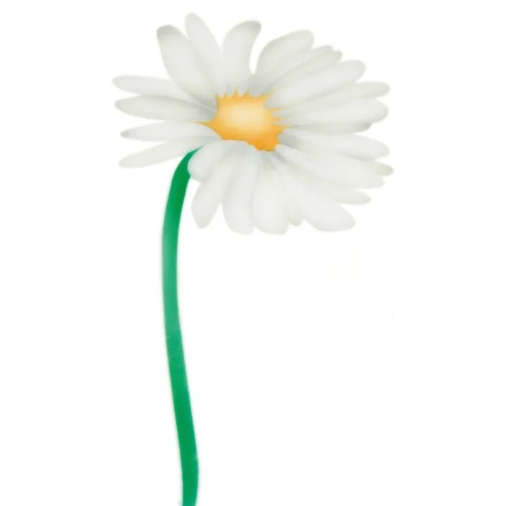 Airbrush stencil daisies