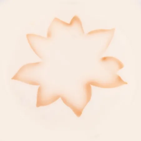 Airbrush stencil lotus flower