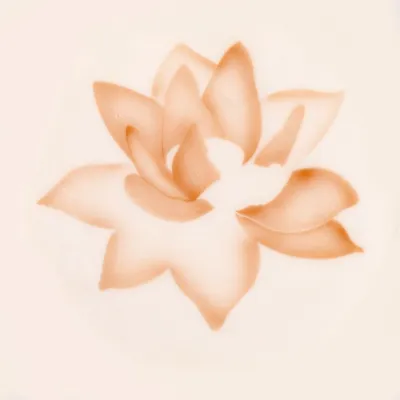 Airbrush Schablone Lotus Blüte