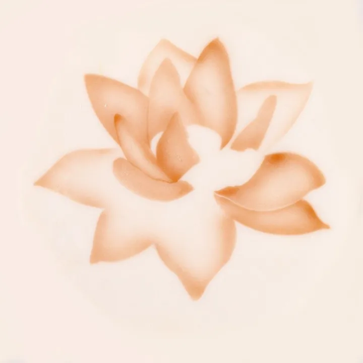 Stencil aerografo Fiore di loto
