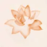 Airbrush Schablone Lotus Blüte