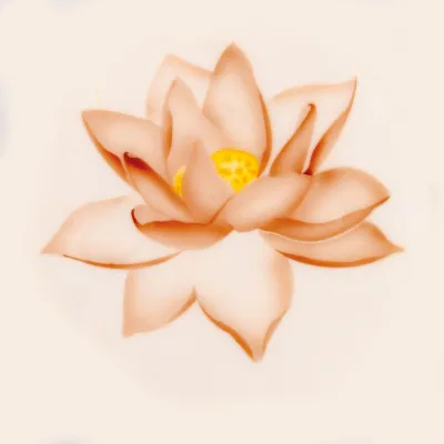 Airbrush Schablone Lotus Blüte