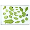 Set d'emporte-pièces Feuilles 40 pièces pour des décorations raffinées