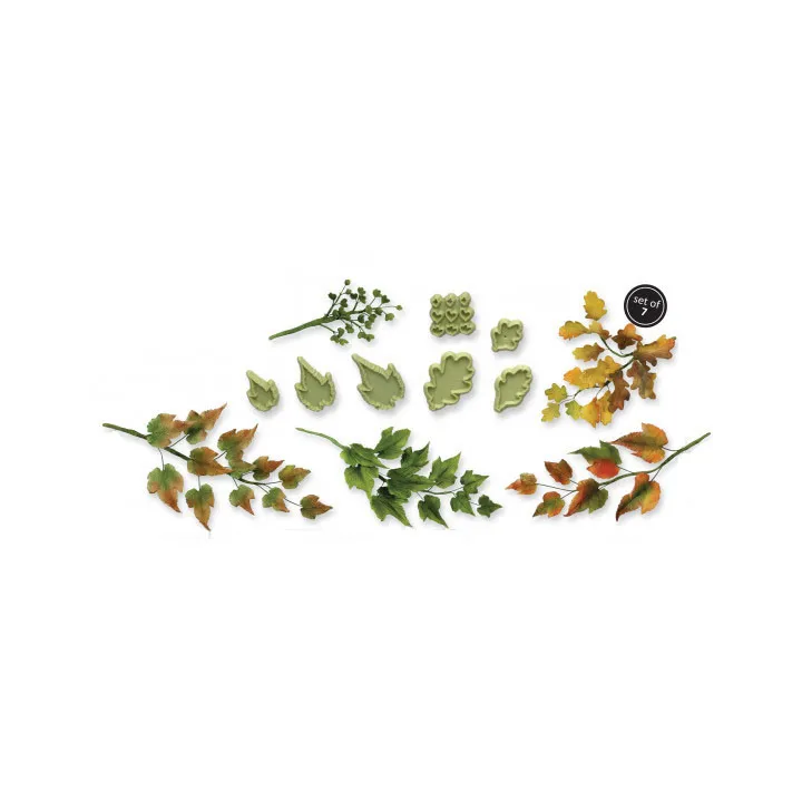 Set d'emporte-pièces Feuilles 40 pièces pour des décorations raffinées