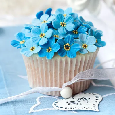 Corso base di cupcake – 09.01.2027