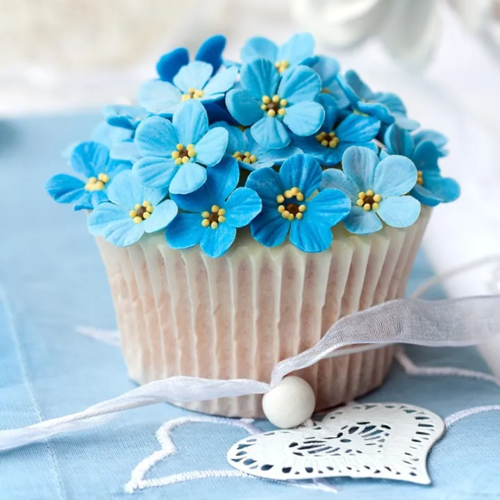Cupcakes Grundkurs – 09.01.2027