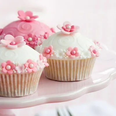 Corso base di cupcake – 09.01.2027