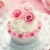 Corso base di cupcake – 09.01.2027