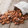 Cours Bean to Bar - Fabrique toi-même ton chocolat – 25.01.2027