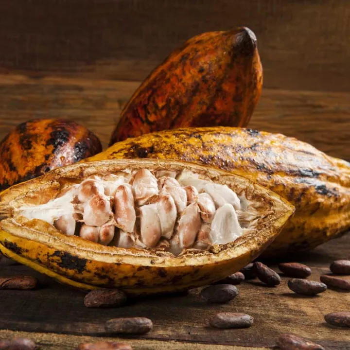 Bean to Bar Course - Make Your Own Chocolate – 25.01.2027
