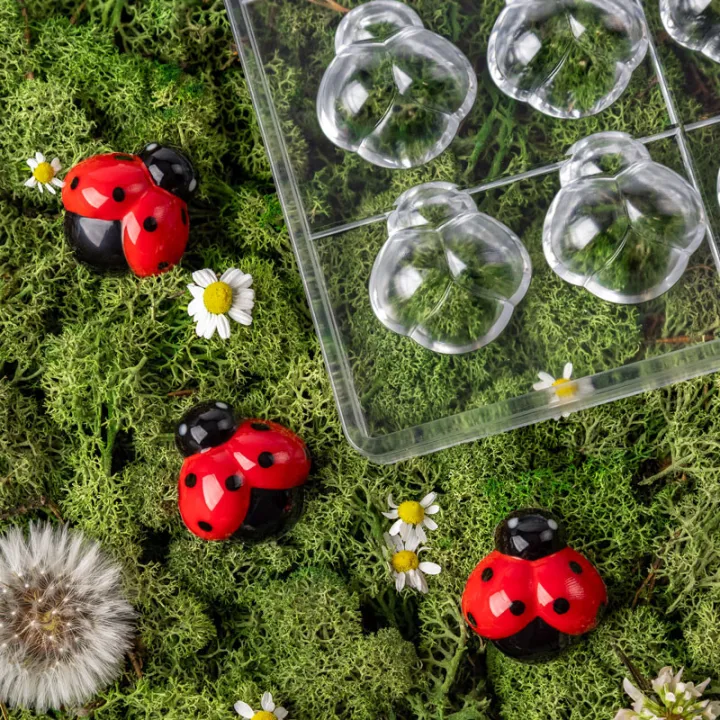 Moule à pralines Coccinelle 18 pièces – Polycarbonate pour des pralinés parfaits