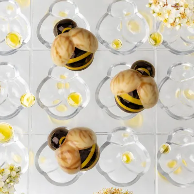 Stampo per praline Coccinella 18 pezzi – Policarbonato per pralinati perfetti