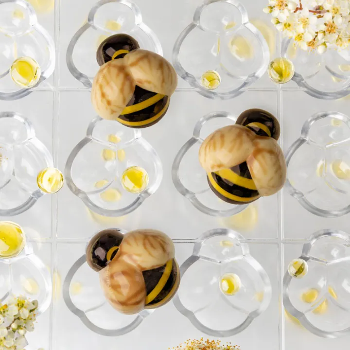 Moule à pralines Coccinelle 18 pièces – Polycarbonate pour des pralinés parfaits