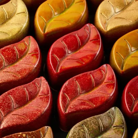 Praline mold leaves 24 pieces – Polycarbonate for pralines