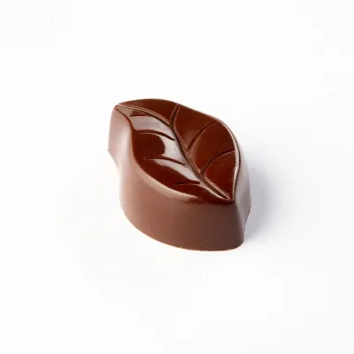 Pralinenform Blätter 24 Stück – Polycarbonat für Pralinés