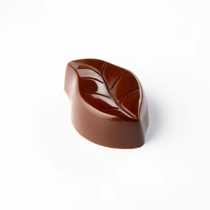 Moule à pralines feuilles 24 pièces – Polycarbonate pour pralines