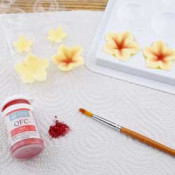 Water soluble powder paints