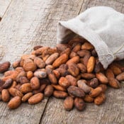 Fèves de cacao et nibs