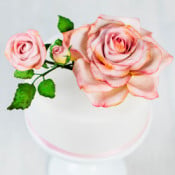 Accessori per fiori di zucchero