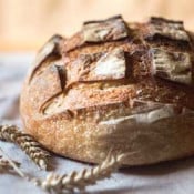 Bread