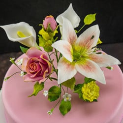 Zuckerblumen Kurs