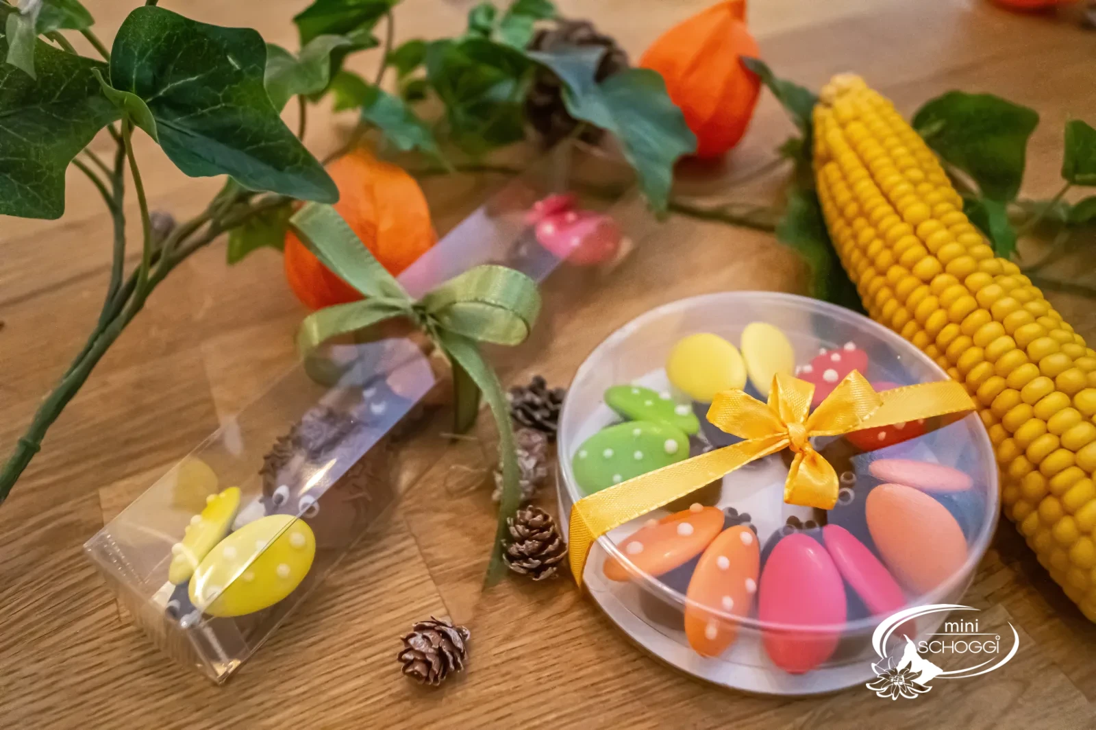 Schoggi-Käferchen als Geschenk in einer transparenten Schachtel mit Schleife