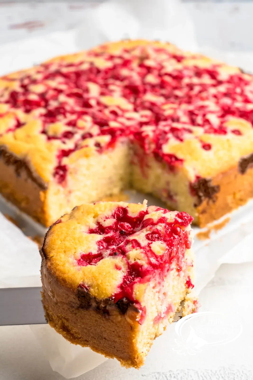 Stück Johannisbeerkuchen von oben auf dunklem Teller, umgeben von frischen Johannisbeeren