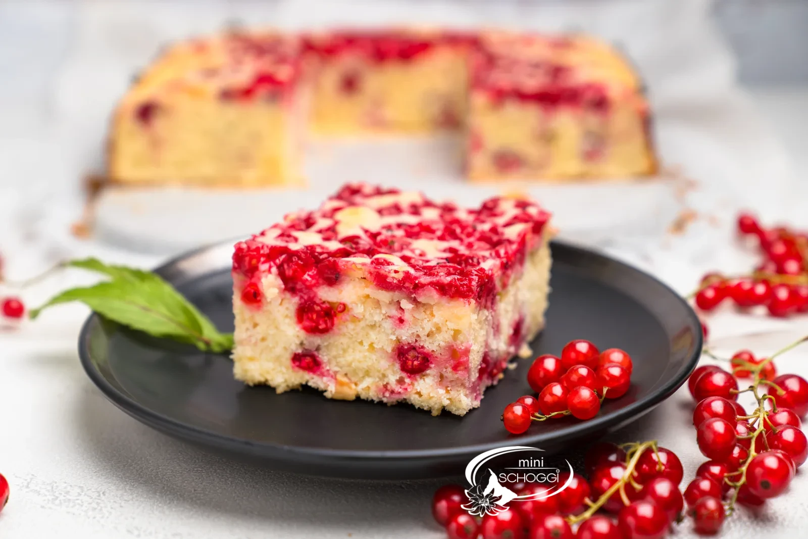 Stück Johannisbeerkuchen von oben auf dunklem Teller, umgeben von frischen Johannisbeeren