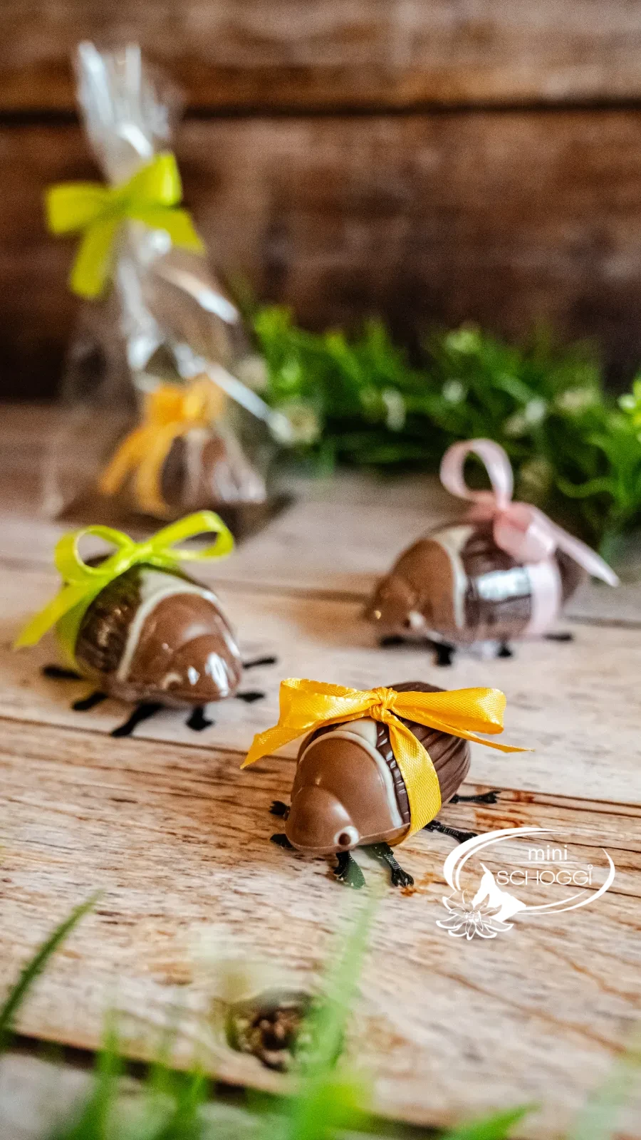 Maggiolino di cioccolato da vicino, gli occhi dipinti sono ben riconoscibili